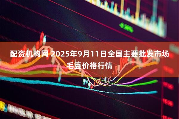 配资机构网 2025年9月11日全国主要批发市场毛豆价格行情