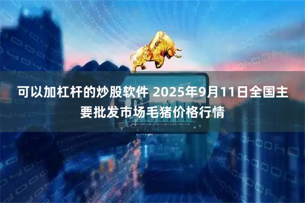 可以加杠杆的炒股软件 2025年9月11日全国主要批发市场毛猪价格行情